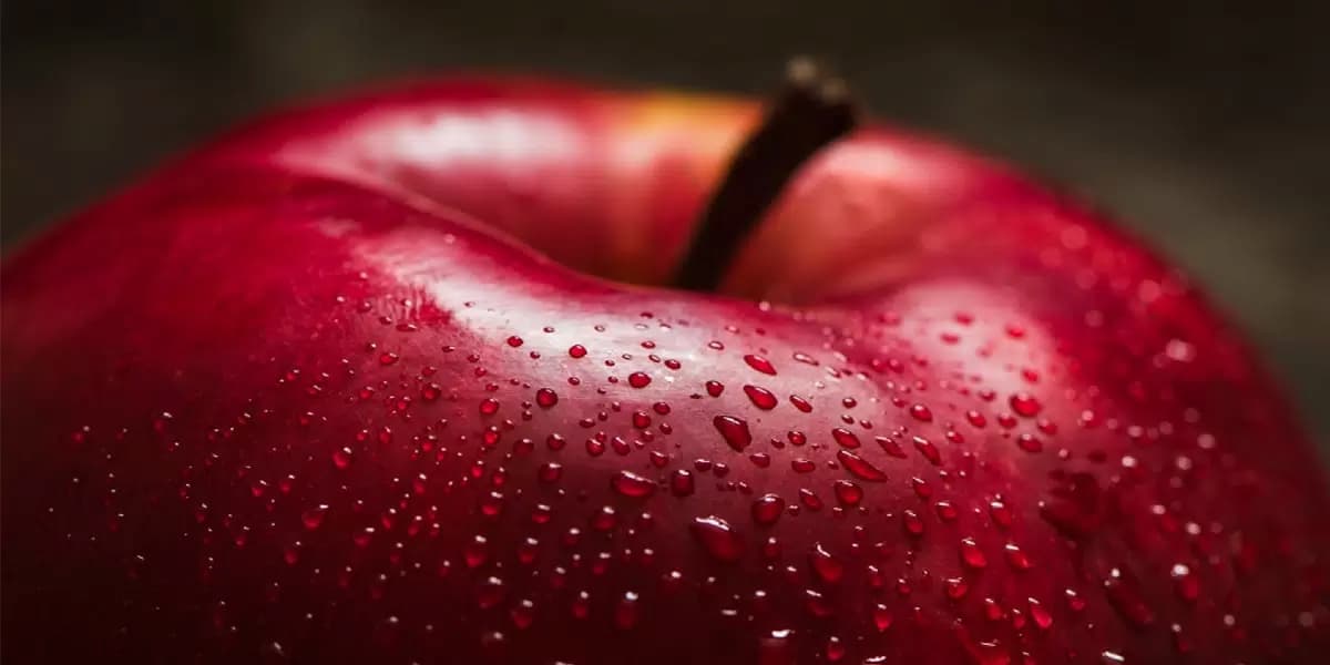 Deep red apple
